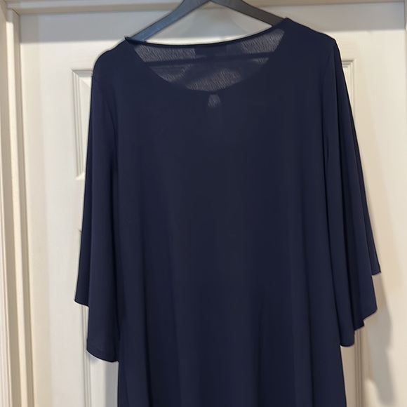 Gorgeous Dana Buchman Dress - XL - Picture 7 of 7